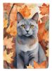 Korat Cat in Fall Leaves House Flag Large Porch Sleeve Pole Decorative Outside Yard Banner Artwork Wall Hanging, Polyester, House Size, Multicolor