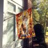 Cymric Cat in Fall Leaves House Flag Large Porch Sleeve Pole Decorative Outside Yard Banner Artwork Wall Hanging, Polyester, House Size, Multicolor